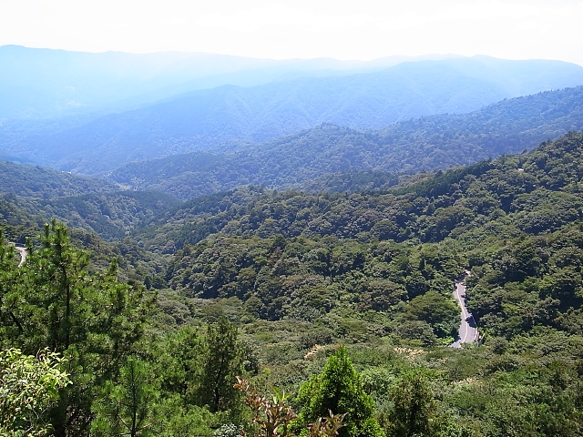 d0081997_20312940.jpg