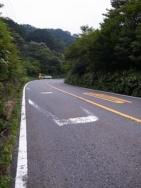 d0081997_20391348.jpg