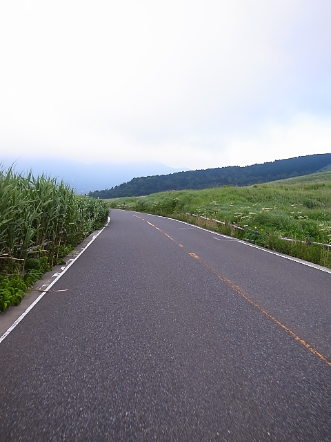 d0081997_20545924.jpg