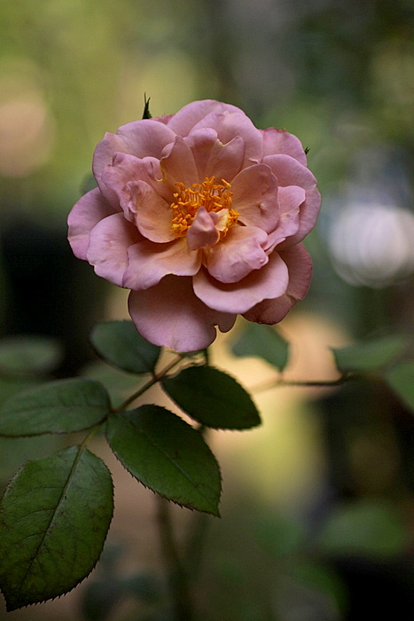 d0248502_8135799.jpg