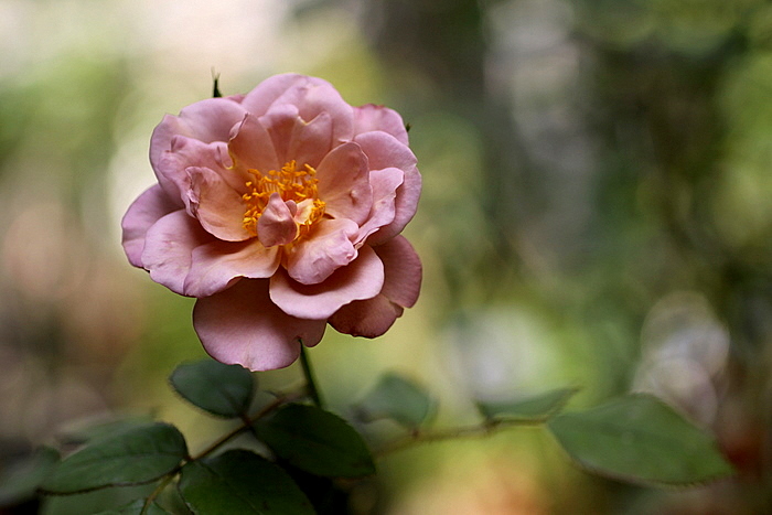d0248502_813736.jpg
