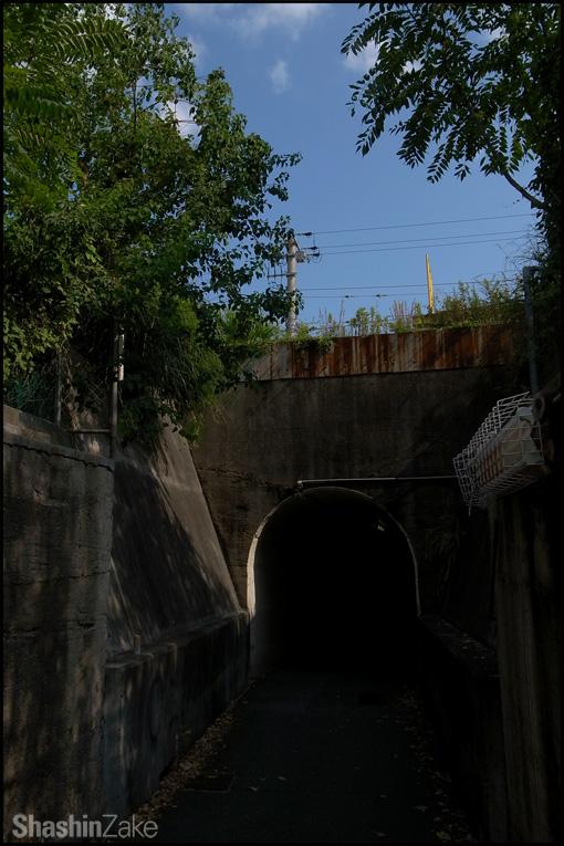 c0102003_177077.jpg