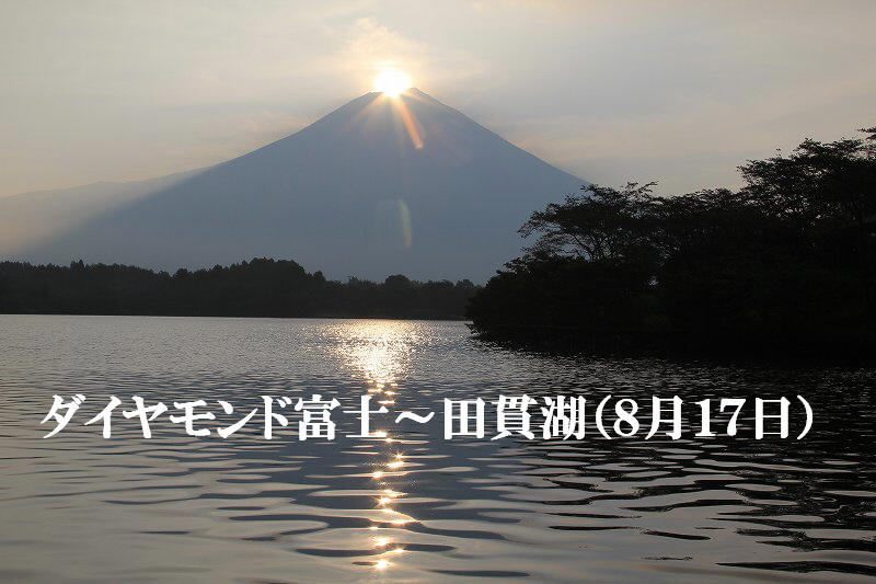 a0188405_17592249.jpg
