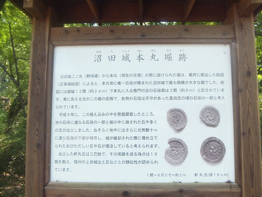 d0149306_1012263.jpg