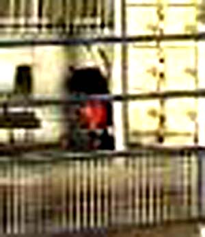 e0103408_175598.jpg