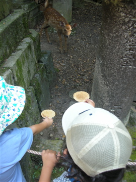 c0145209_22443494.jpg