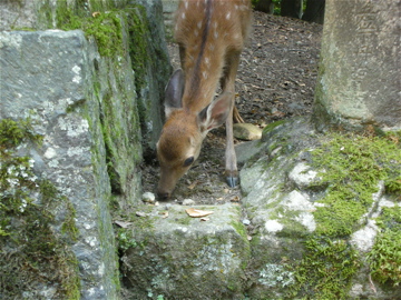 c0145209_22451876.jpg