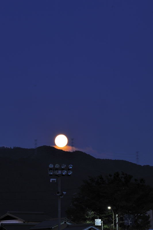 f0032011_19393422.jpg