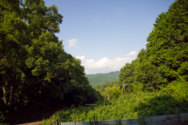 a0148612_13281715.jpg