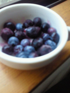 a0207713_1075240.jpg