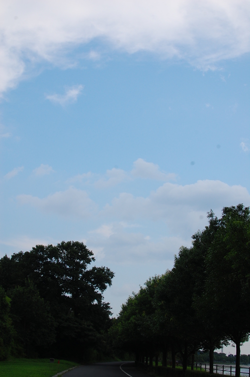 e0214513_23422245.jpg