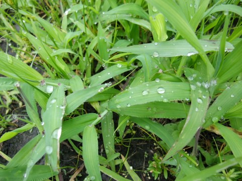 c0044617_11285268.jpg