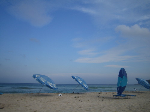 e0141819_20392823.jpg