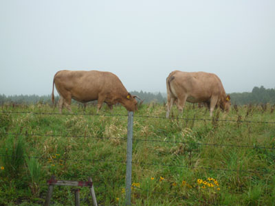 c0227720_23594598.jpg