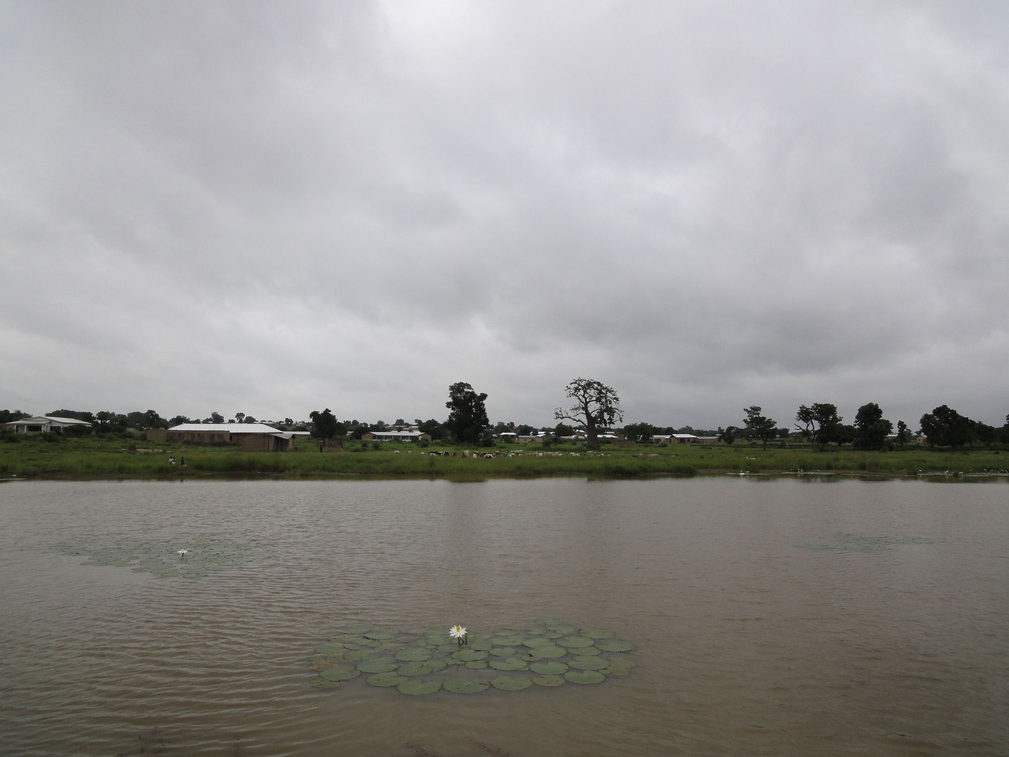 b0207724_019259.jpg
