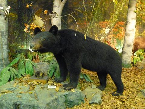 b0138430_2025187.jpg