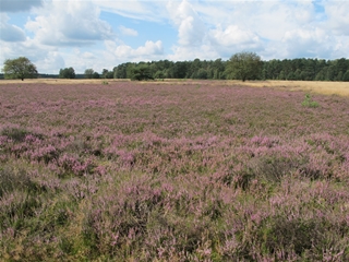 f0224632_19532550.jpg