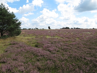 f0224632_19542548.jpg