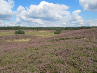 f0224632_19544759.jpg