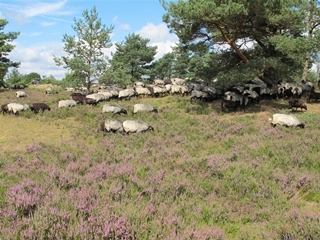 f0224632_19551932.jpg