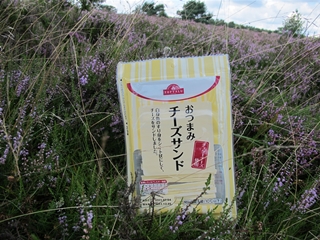 f0224632_201921.jpg