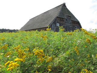f0224632_2041462.jpg