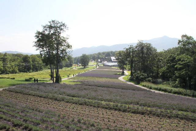 e0064133_235056.jpg