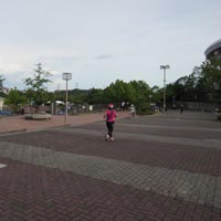 d0033734_22125697.jpg