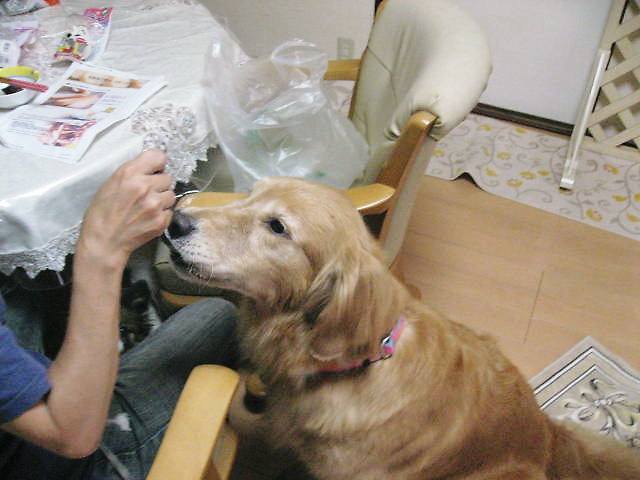 a0149240_2384225.jpg