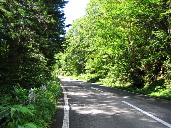 b0149340_1939111.jpg