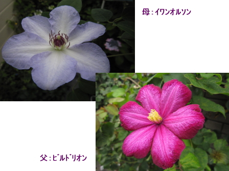 c0025140_11591237.jpg