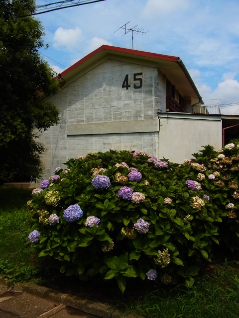 a0087341_152520100.jpg