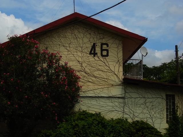 a0087341_15252859.jpg