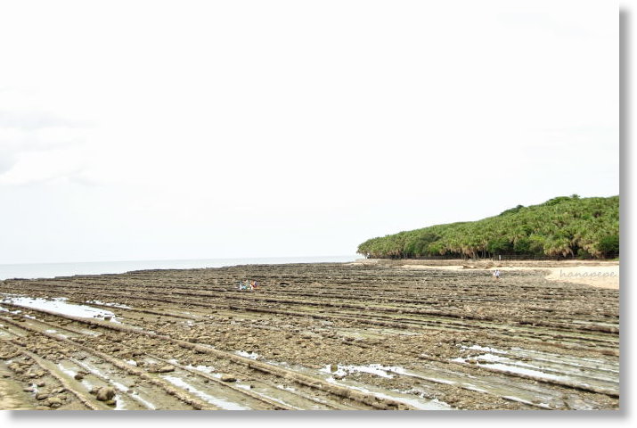 a0145741_0595480.jpg
