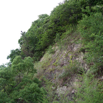 d0025545_23181277.jpg