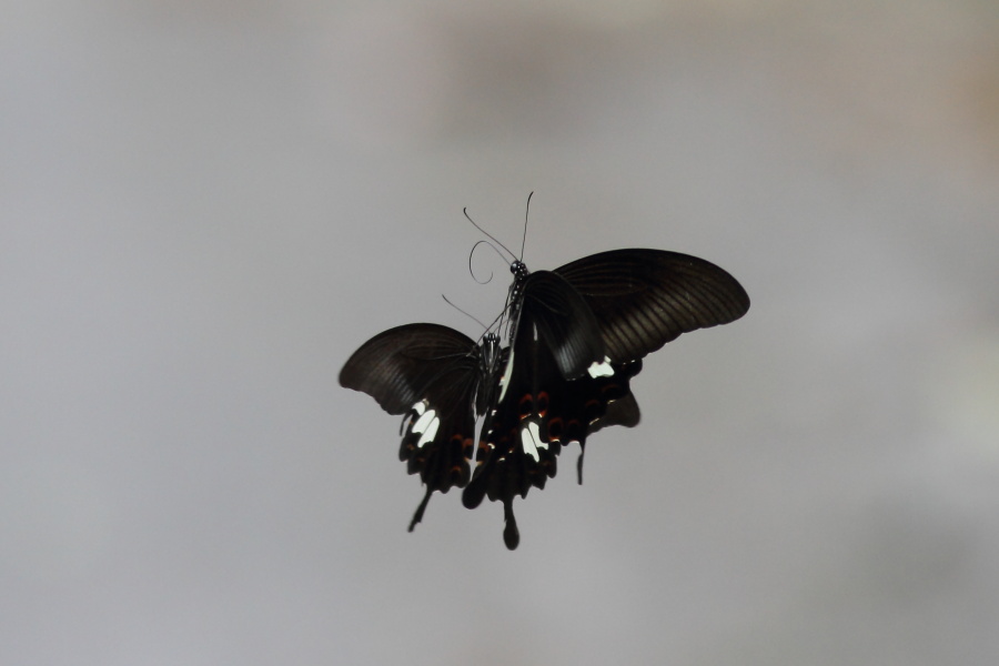 a0094850_9355394.jpg
