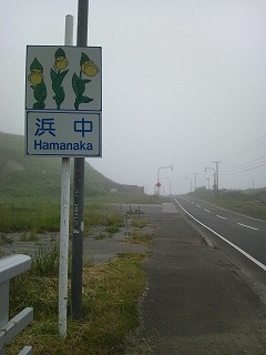 f0009451_1602430.jpg