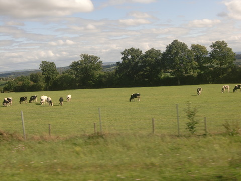 c0206352_09343.jpg