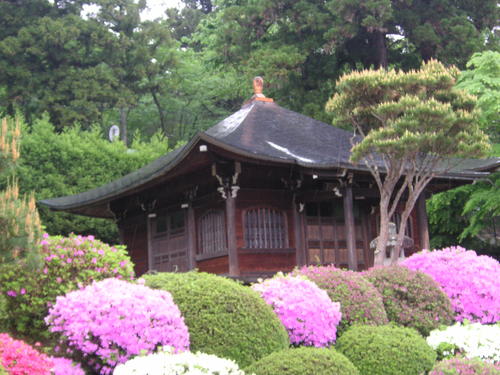 e0231554_14205799.jpg