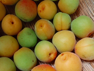 e0004756_20571787.jpg