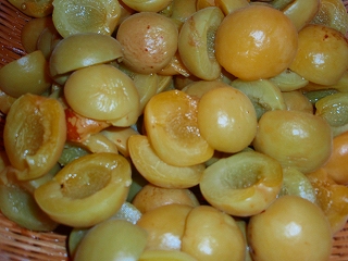 e0004756_2155337.jpg
