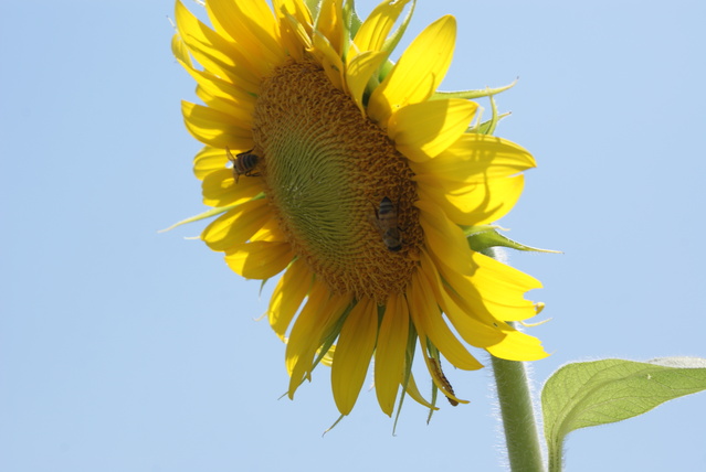 a0091666_20313679.jpg