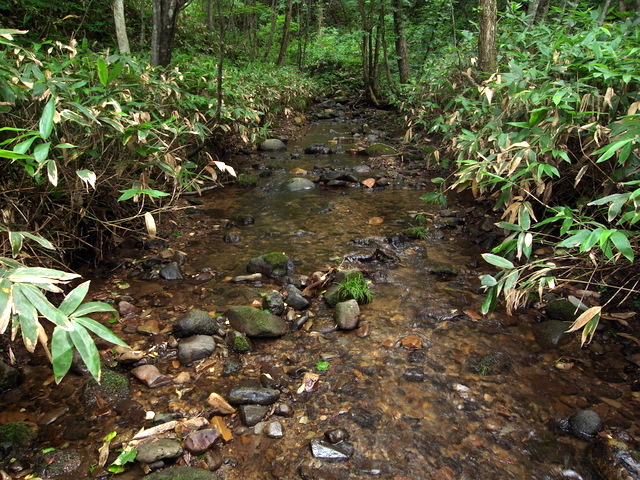 b0130166_2335582.jpg