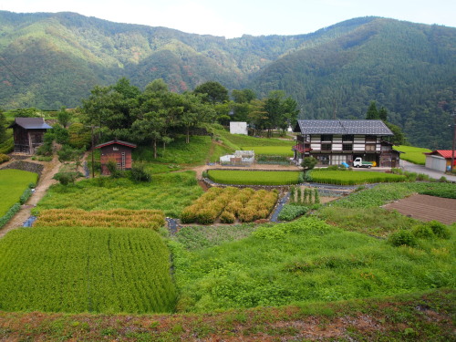 c0122670_2010517.jpg
