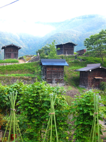 c0122670_2043233.jpg