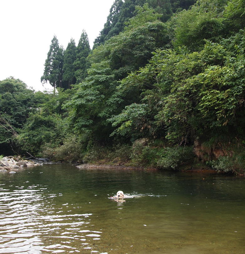 d0216270_2214880.jpg