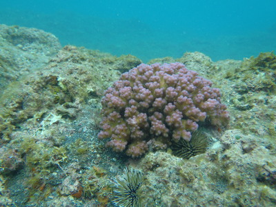 e0097770_14511951.jpg