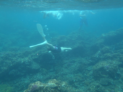 e0097770_14514317.jpg