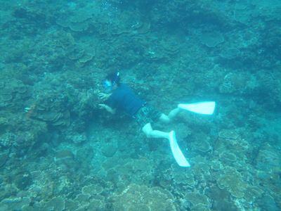 e0097770_14515527.jpg