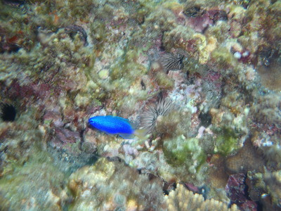e0097770_14522947.jpg
